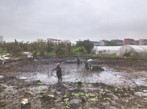 万宁河道鱼塘清淤